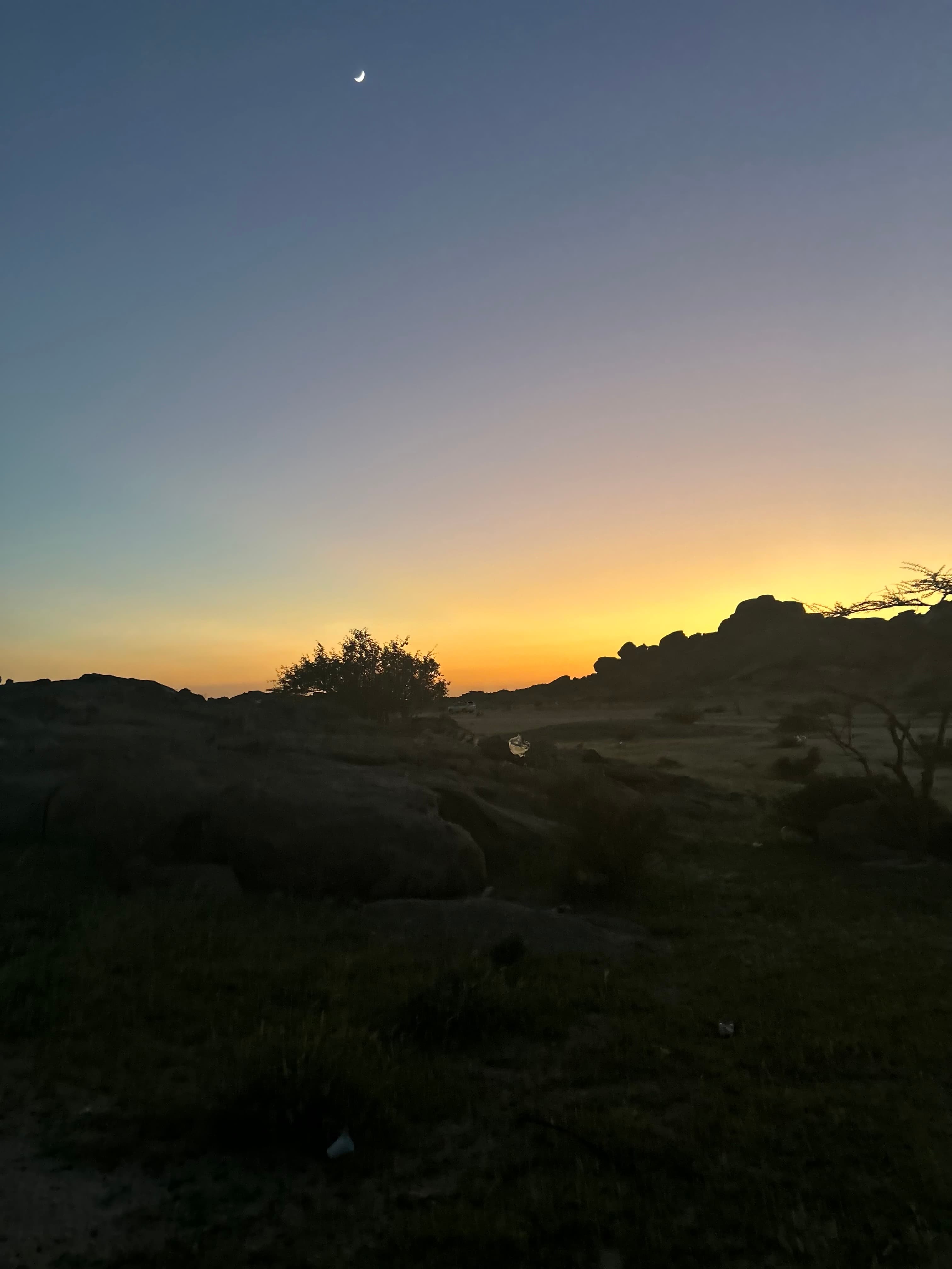 شذى عسيري gallery image 3