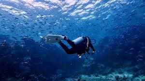 Half-day Red Sea diving trip with an instructor