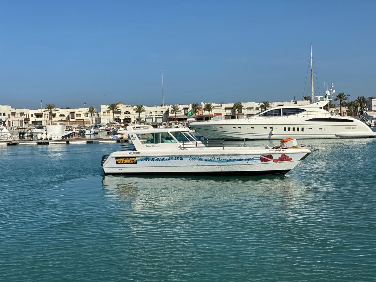 Half-day Red Sea diving trip with an instructor