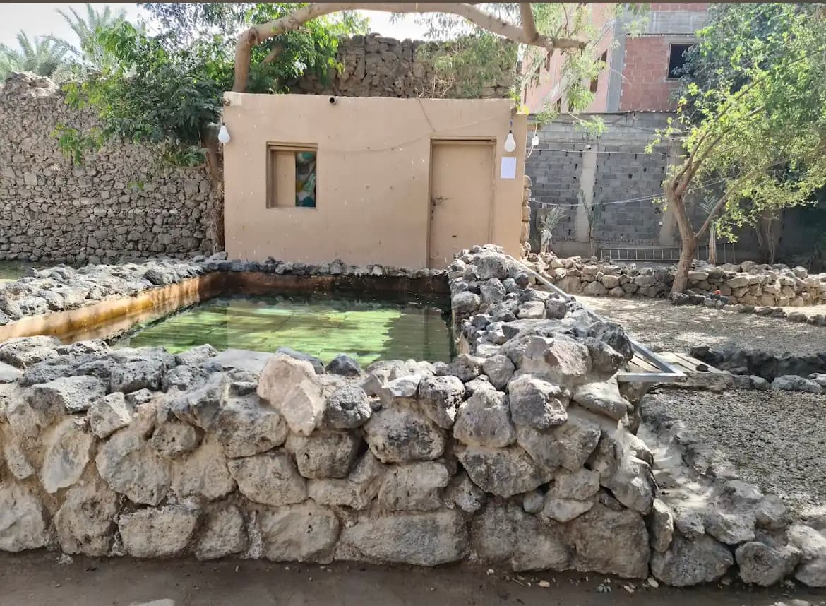 من العلا الى طيبة (المدينة المنورة) 