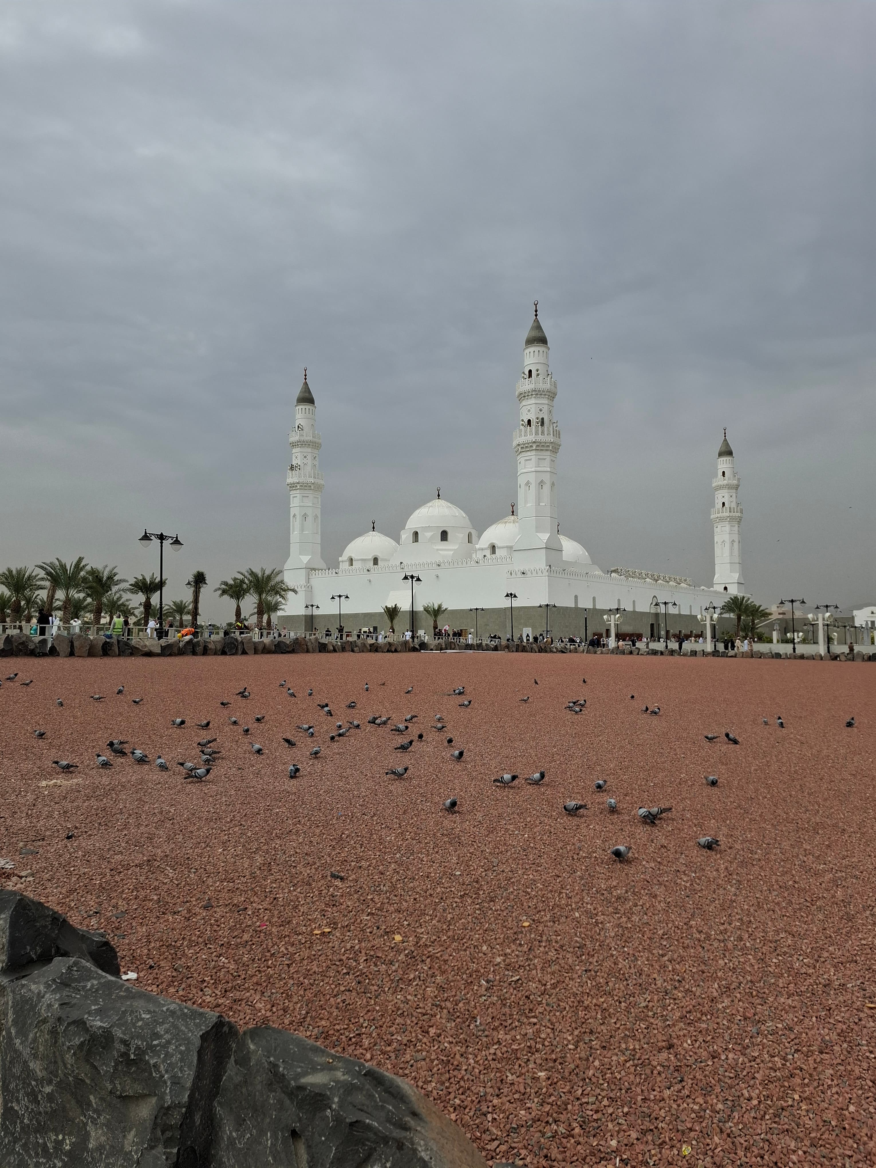 A cycling tour of Medina with a group and a tour guide