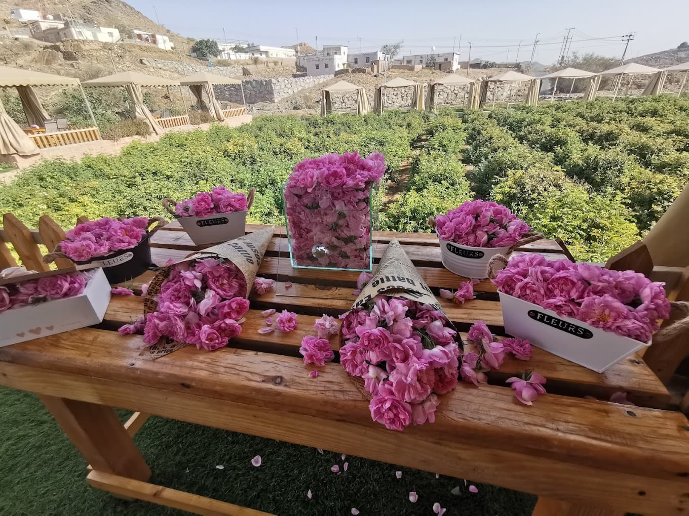 جدة والطائف: باقة عائلية 3 أيام (6 أفراد)