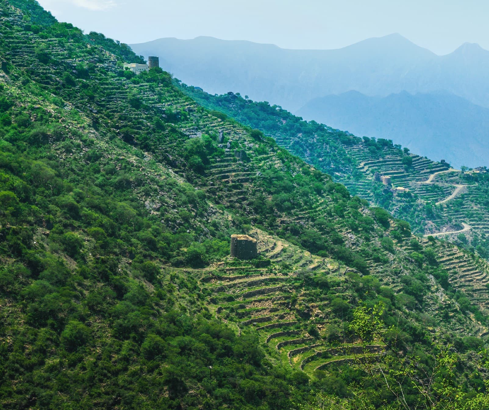 An exploratory tour in Asir, from Al-Soudah to the Honey Hut, then to Rijal Almaa.