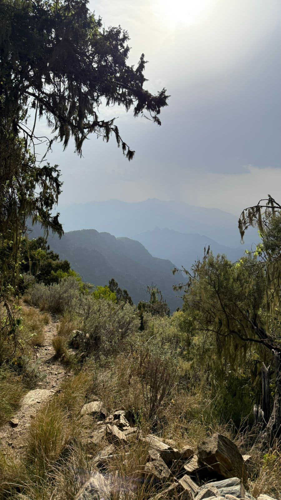 Abha: Hiking and mountain relaxation in Al-Soudah, the heart of Asir's nature 🏔️