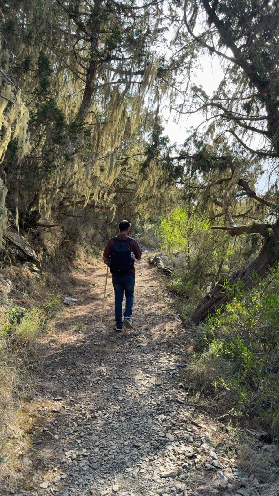 Abha: Hiking and mountain relaxation in Al-Soudah, the heart of Asir's nature 🏔️