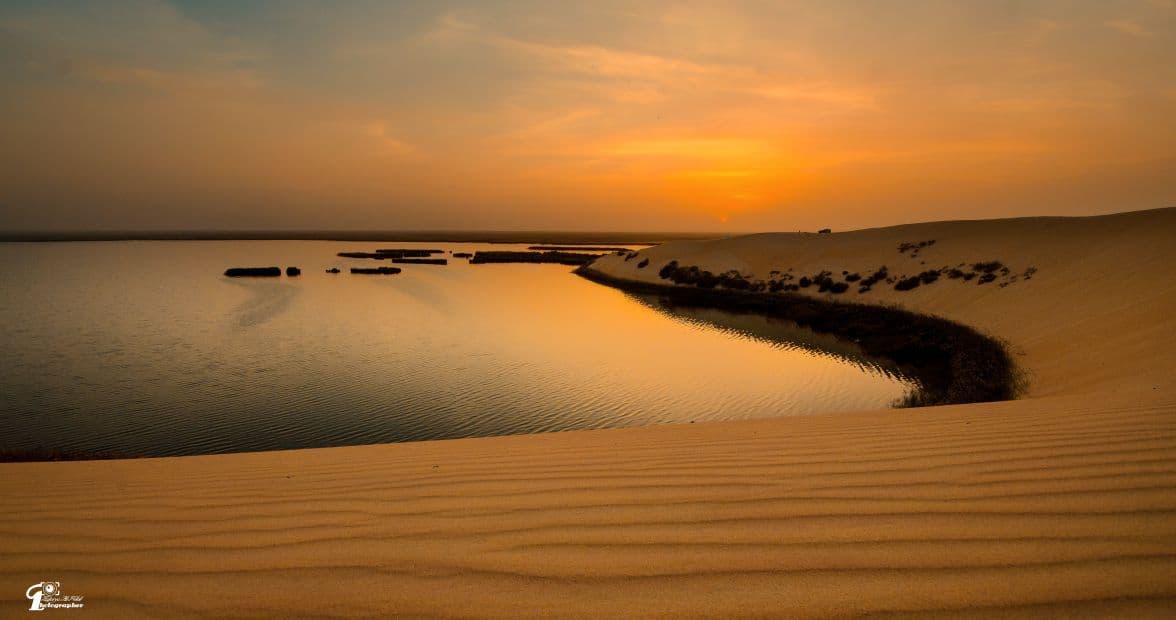 رحلة نسائية من الرياض الى الاحساء  ليلتان مع النقل – للسيدات فقط