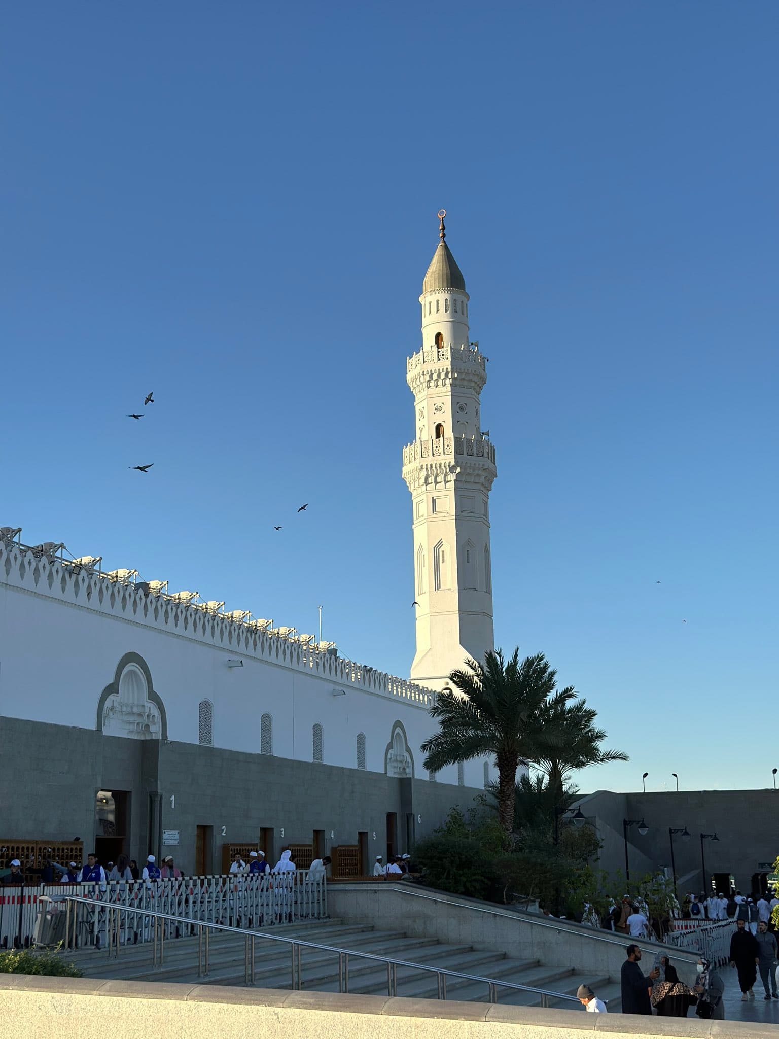 المدينة المنورة: تذكرة الرحلة إلى قباء وبستان المستظل