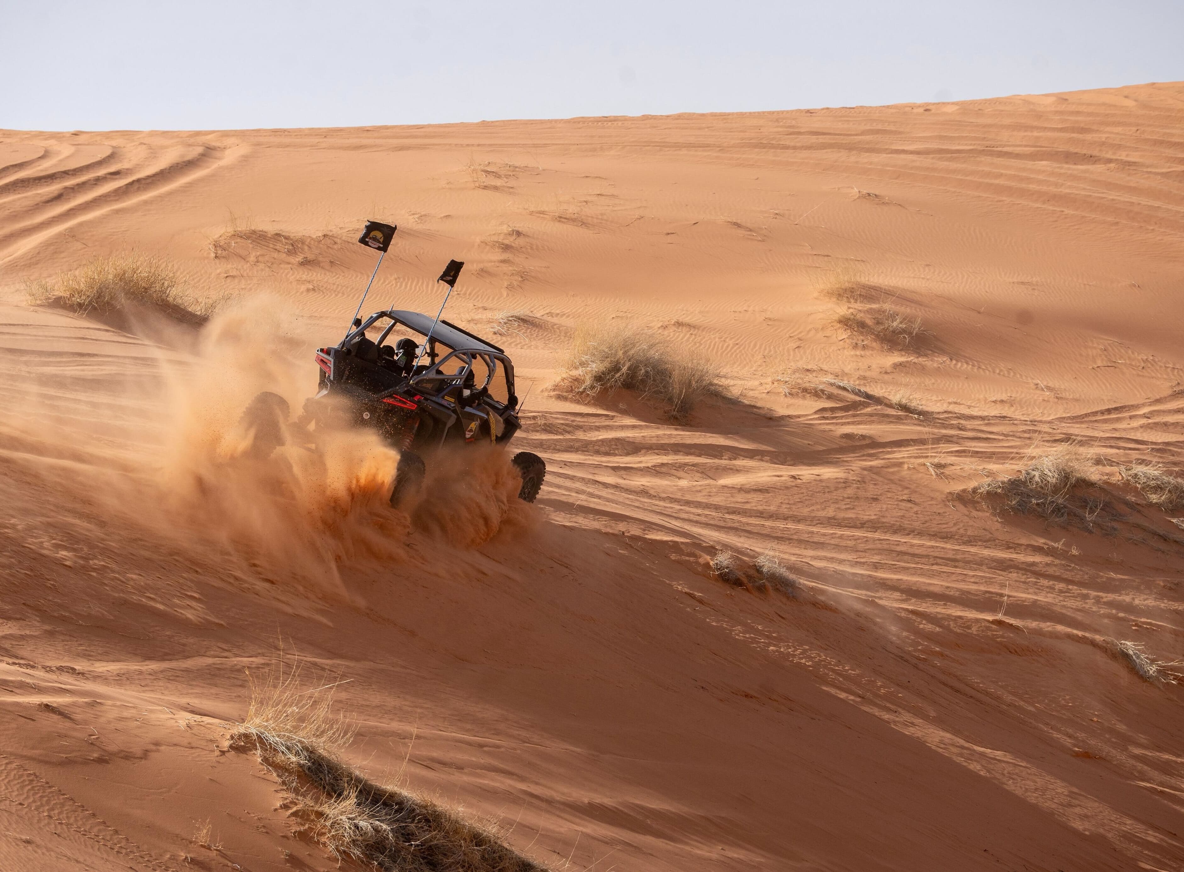 Dune bashing and sandboarding experience in Hail