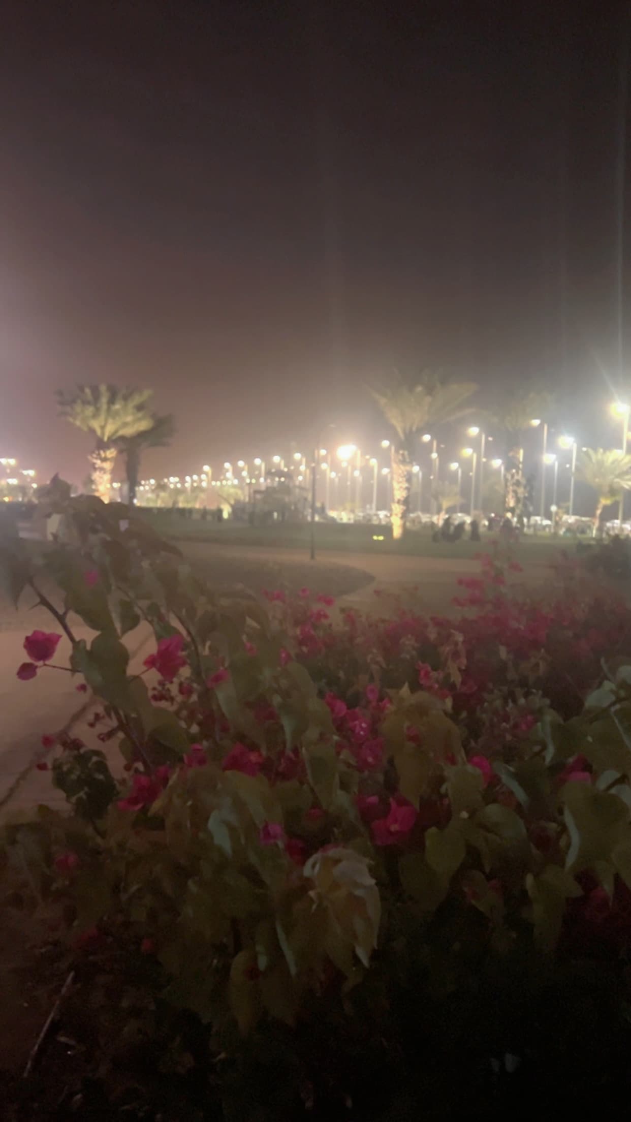 مرام  الحربي gallery image 2