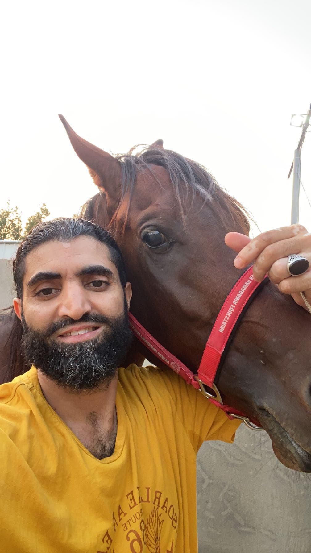 محمد  ال جمال gallery image 4