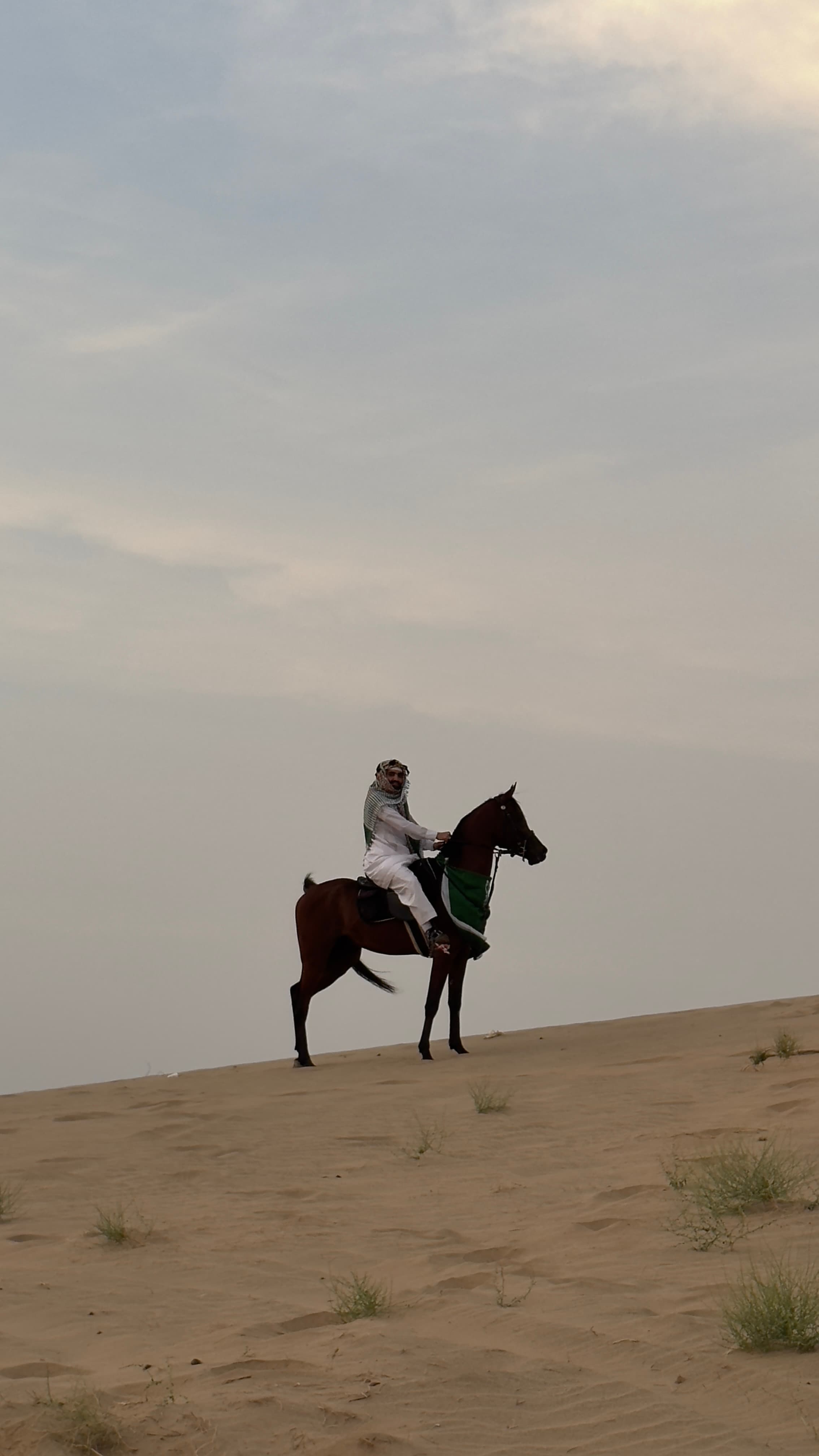 محمد  ال جمال gallery image 3