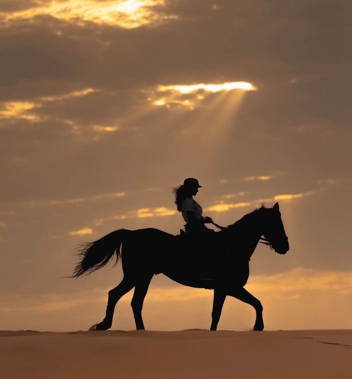 الرياض: تجارب منتجع نوفا
