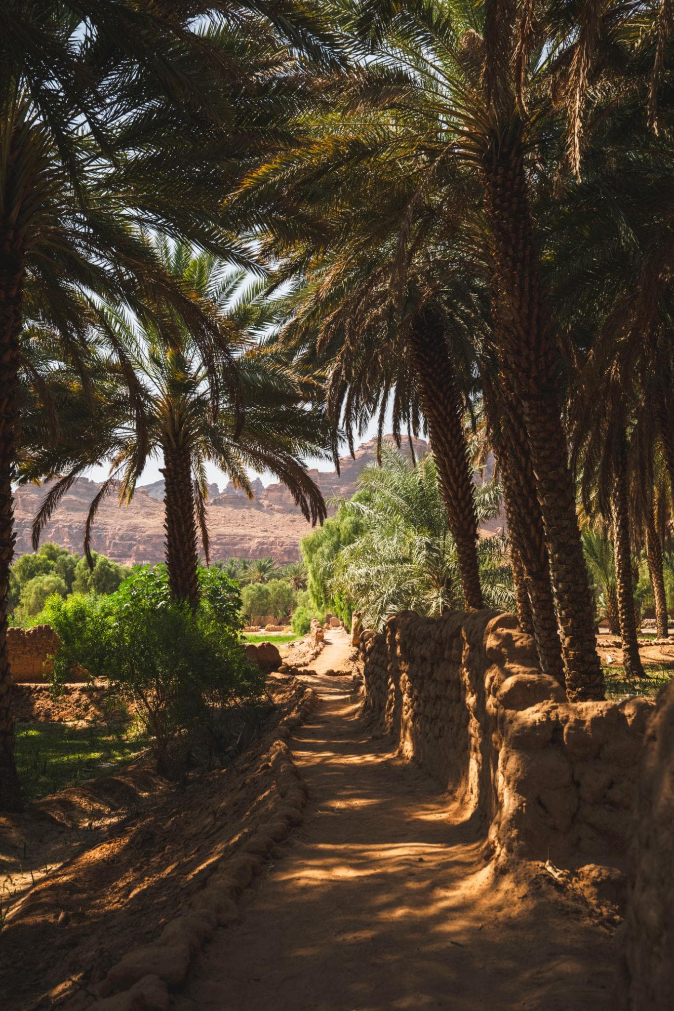Heritage Oasis Trail Ticket – One Person