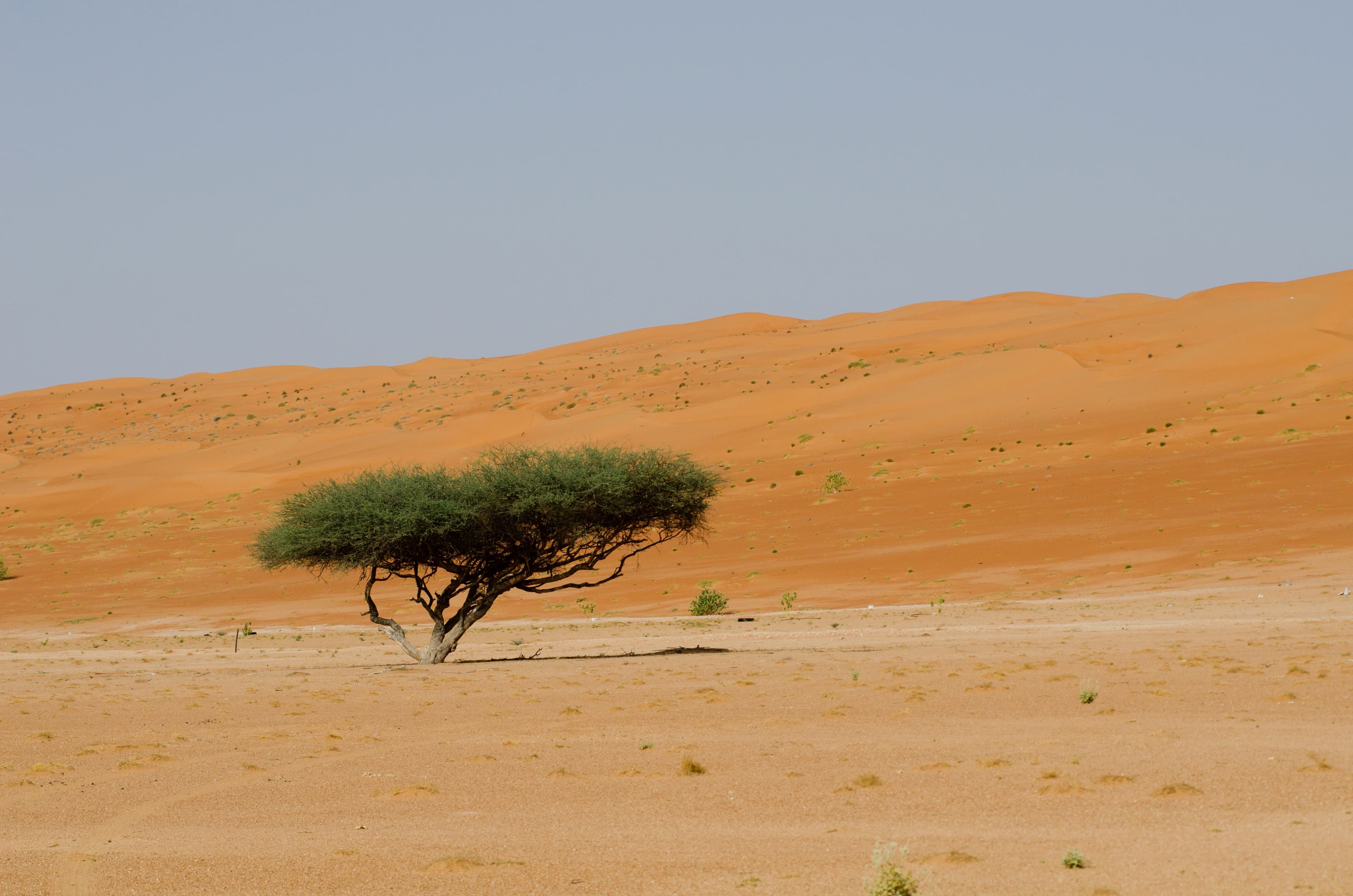 قمة الوعي للهايك في جدة 