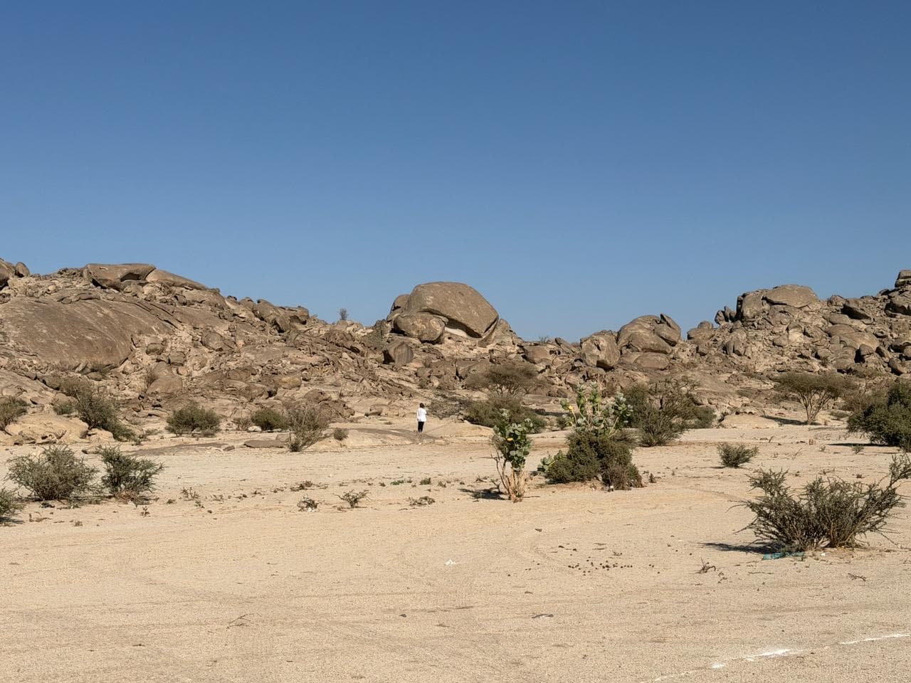 قمة الوعي للهايك في جدة 