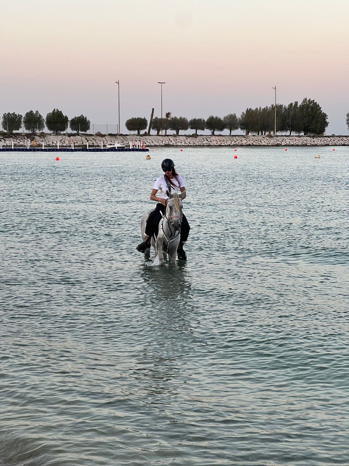 ركوب الخيل في الخبر 