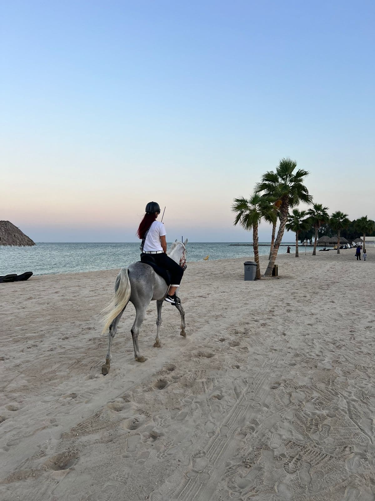 ركوب الخيل في الخبر 