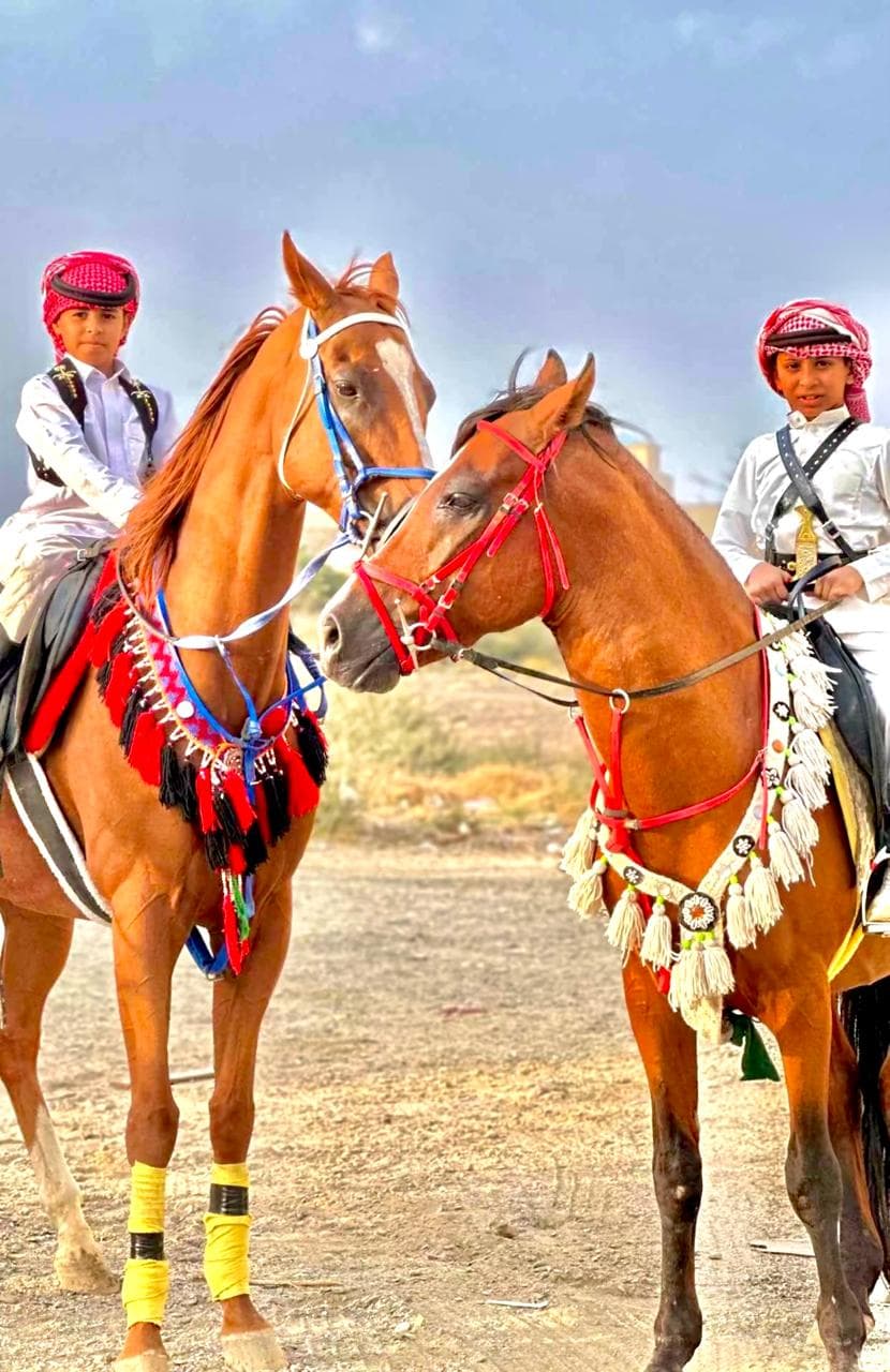 Horse riding category – individual experience