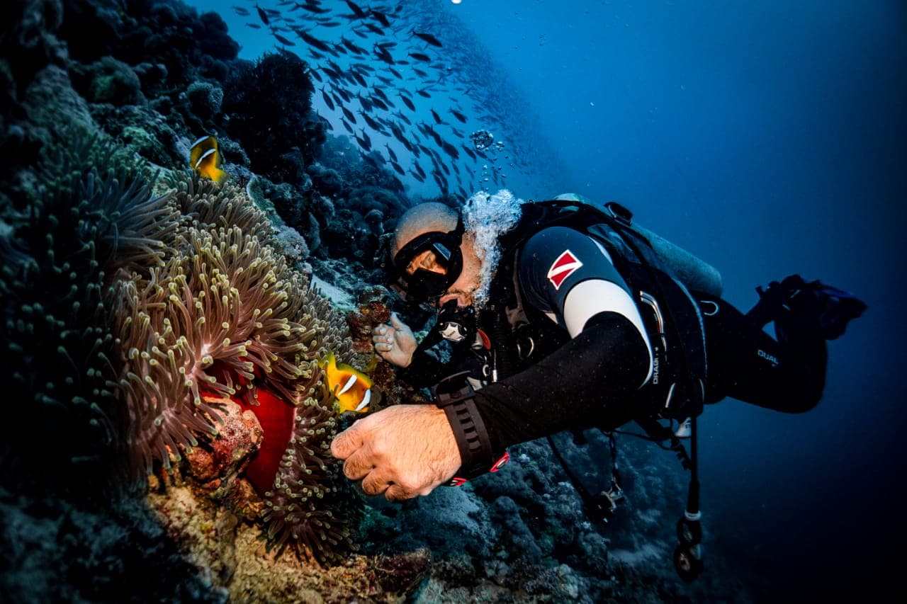 Exploratory diving with a professional instructor and an underwater photography experience