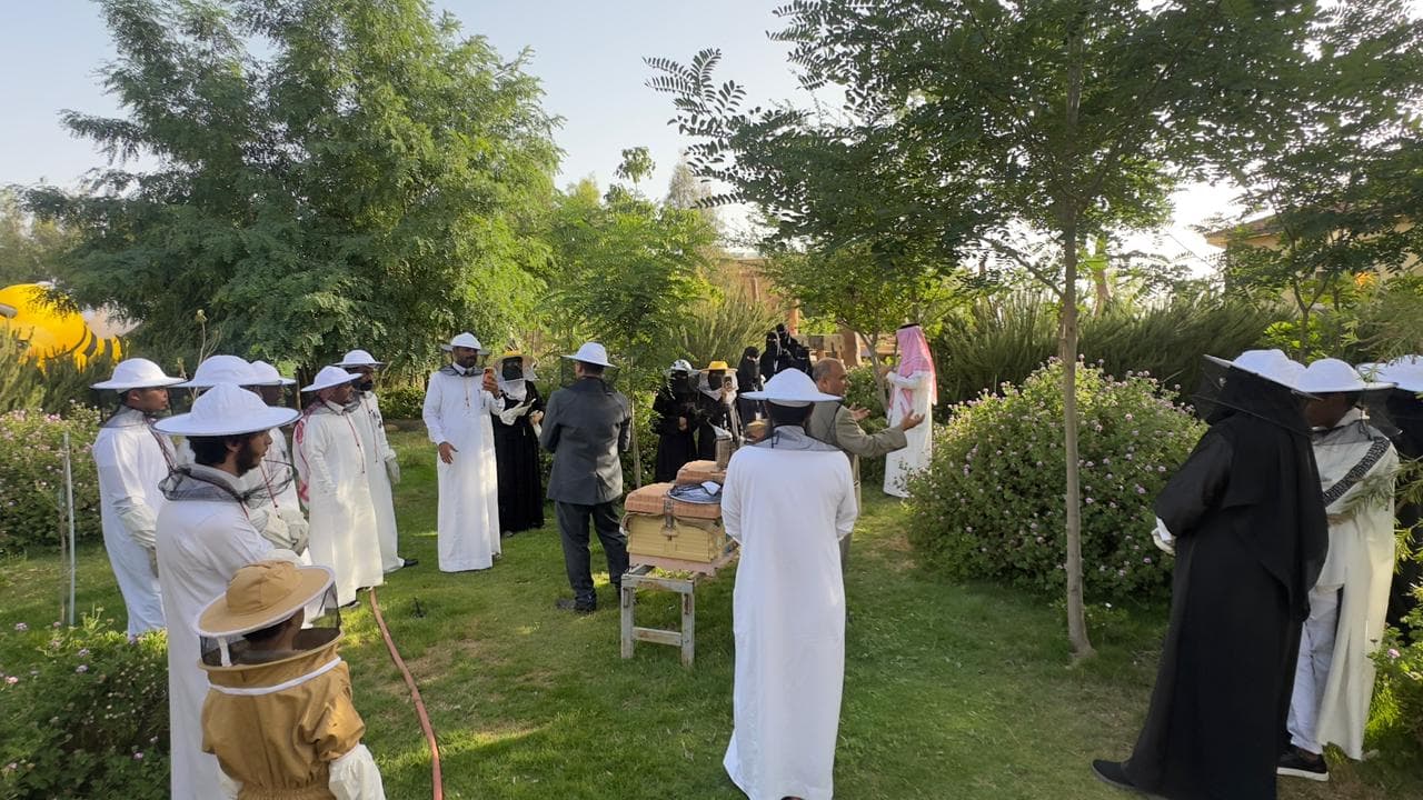 اكتشفوا أسرار النحل والعسل في السياحة النحلية 