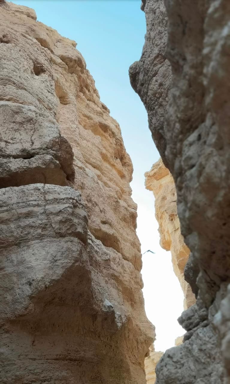 اكتشف " كهف البومة "