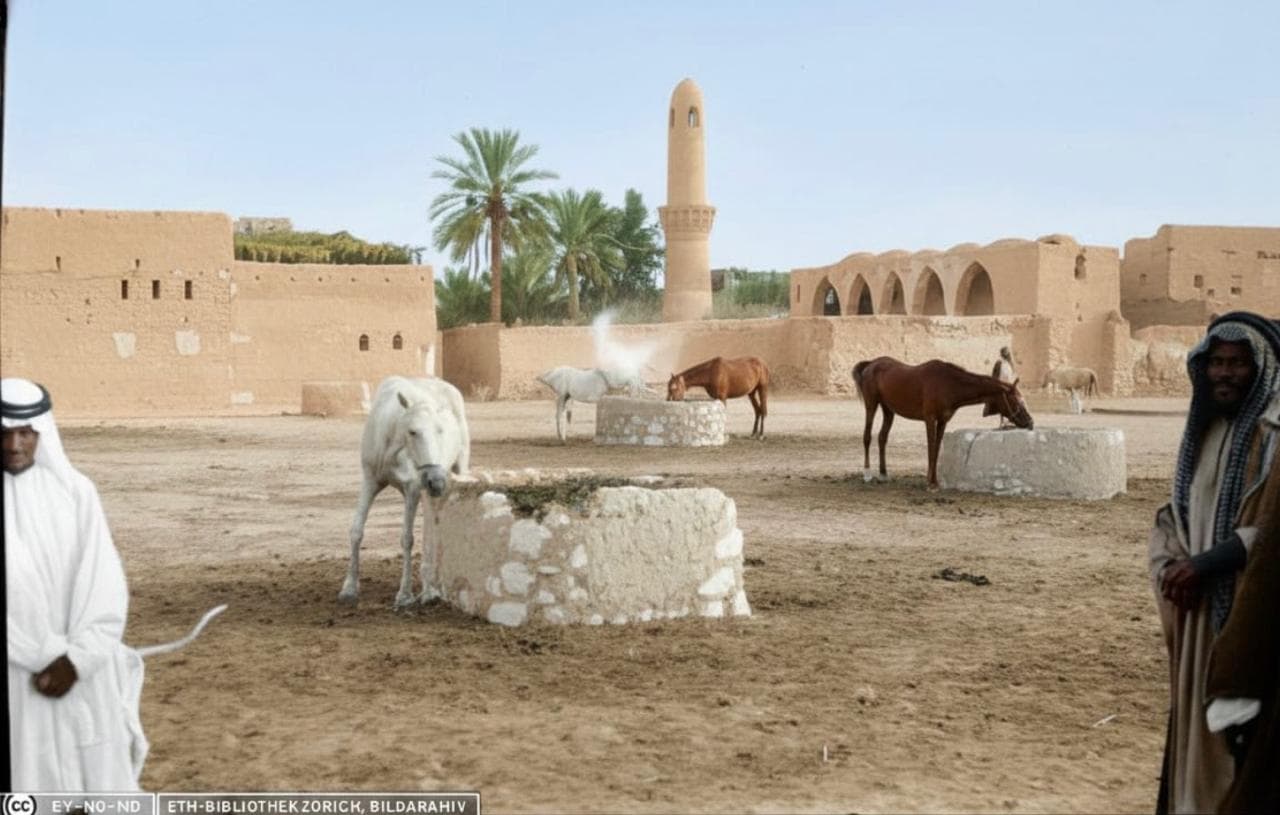 سوق القصرية وجبل القارة