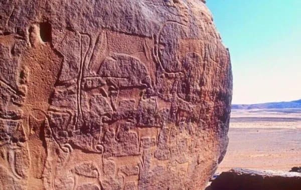 Hail: Discover Thamudic inscriptions in Jubbah (for groups)