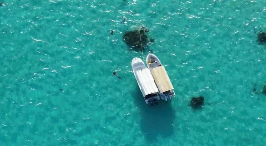 جدة: رحلة جزيرة بحرية مع مجموعة الى جزيرة بياضة