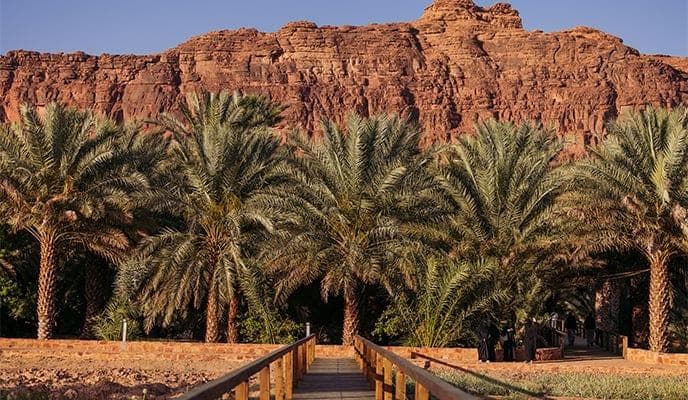 A tour of the heritage oasis trail in Al-Ula