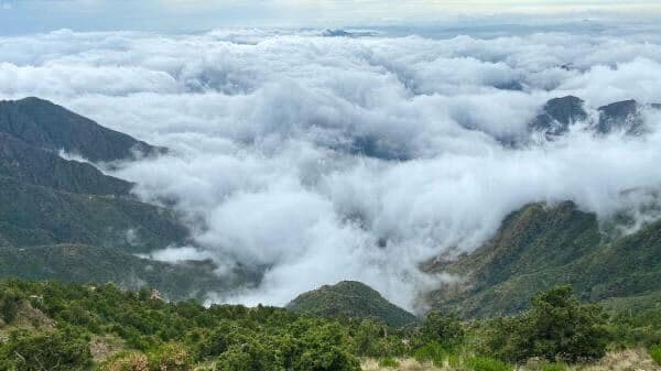 An authentic Asiri tour between Rijal Almaa and the peaks of Al-Soudah